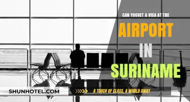 Get a Visa at Suriname's Airport: A Yogic Guide