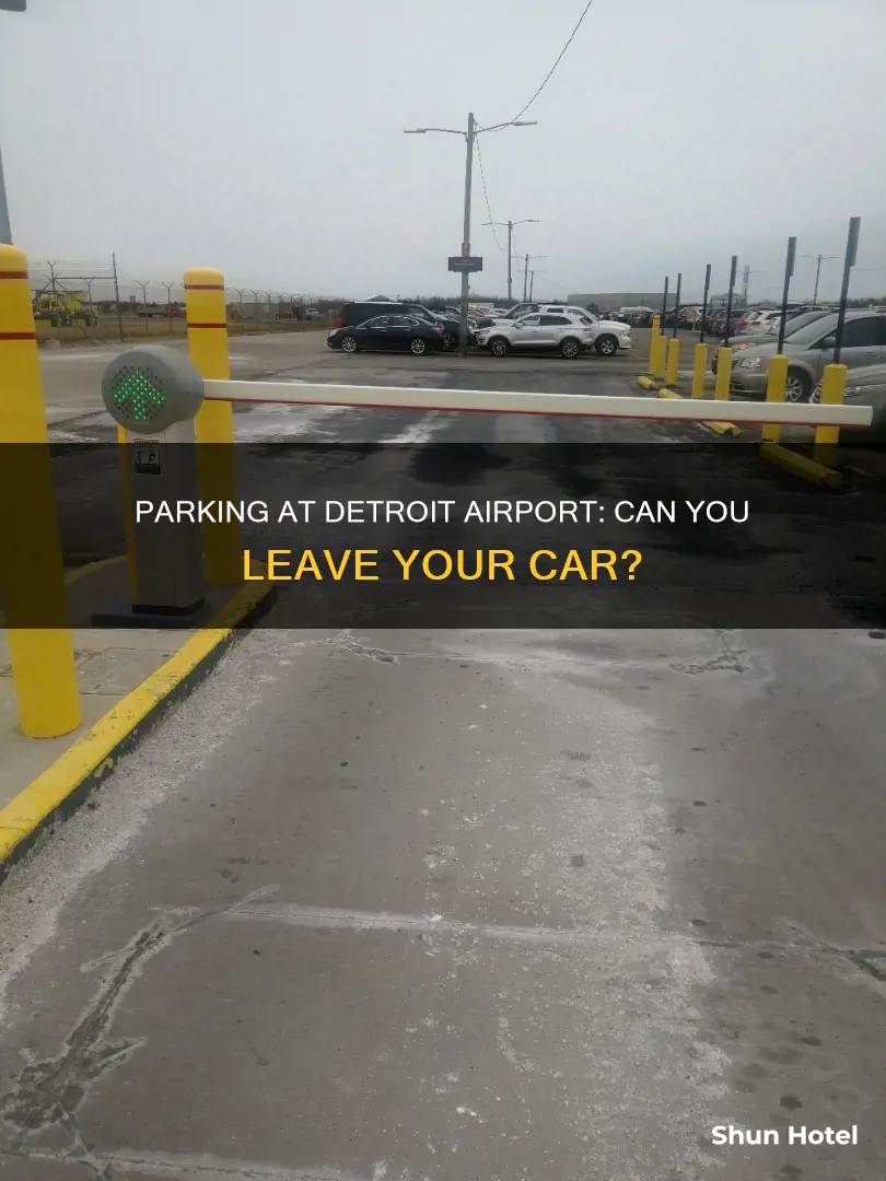 can yoh leave your car at the detroit airport