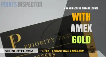 Airport Lounge Access: Amex Gold Benefits Explained