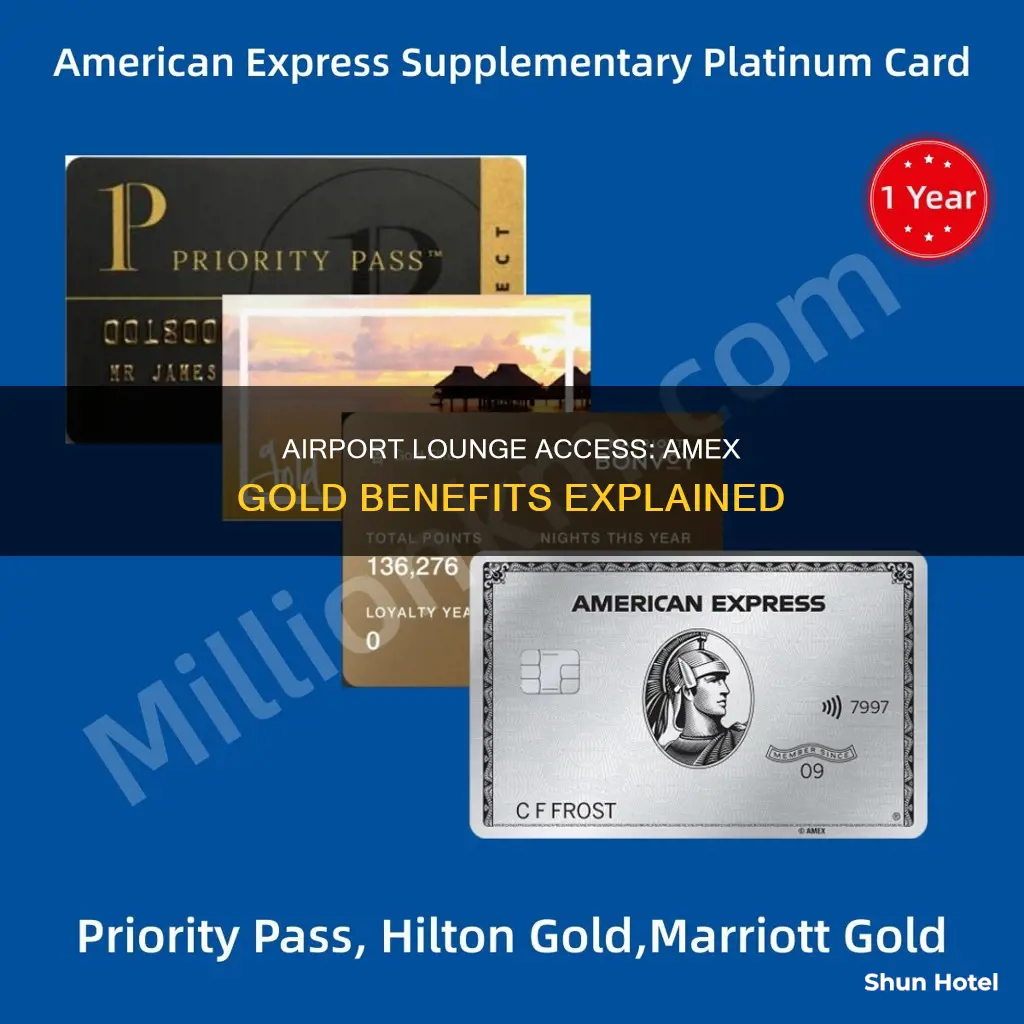 can you access airport lounge with amex gold