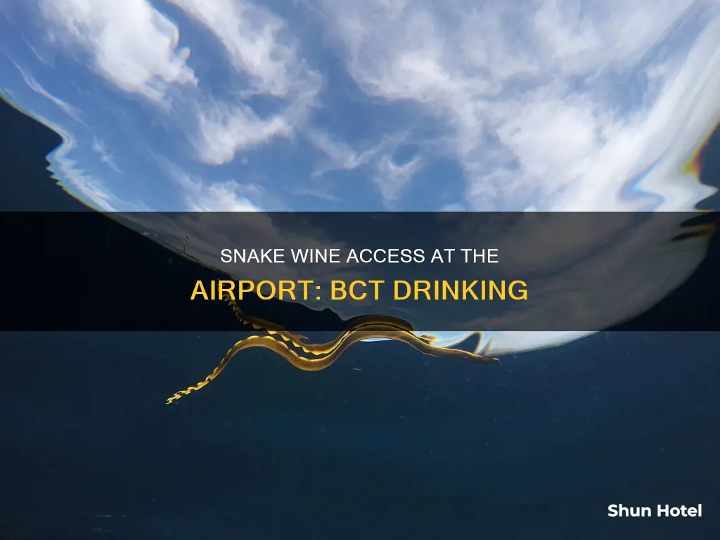 can you access bct drinking snake at cordes airport road