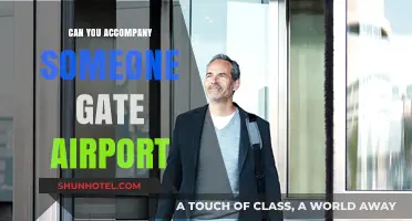 How to Be the Ultimate Airport Companion