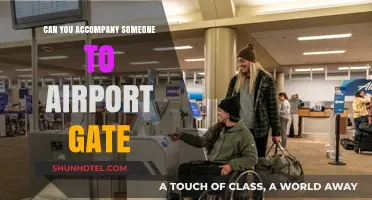 Accompanying a Loved One to Their Airport Gate