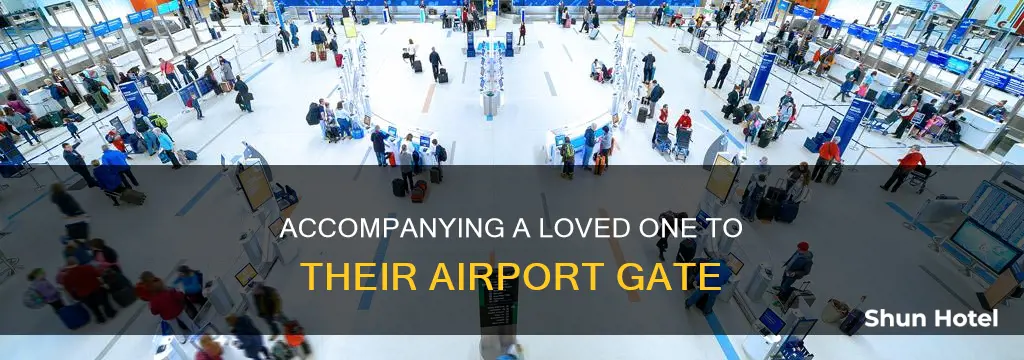 can you accompany someone to airport gate
