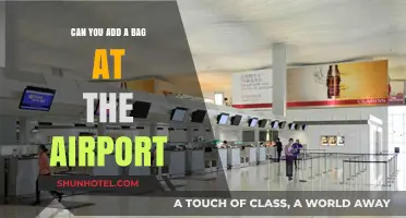Last-Minute Baggage: Adding Bags at the Airport