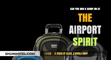 Spirit Airlines: Adding a Carry-On at the Airport