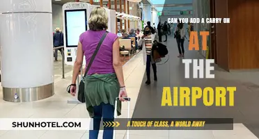 How to Add a Carry-On to Your Flight Booking