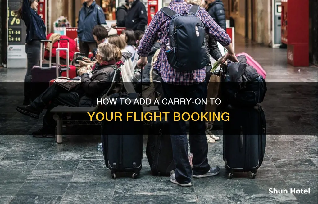 can you add a carry on at the airport