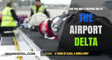 How to Add Checked Bags at the Airport with Delta