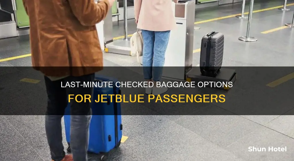 can you add a checked bag at the airport jetblue