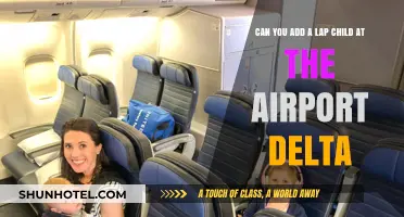 Last-Minute Lap Child Addition: Delta's Airport Policy