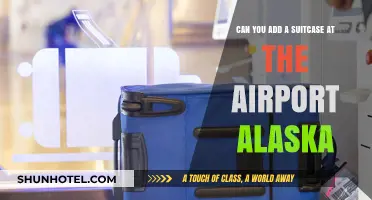 How to Add a Suitcase at the Alaska Airport