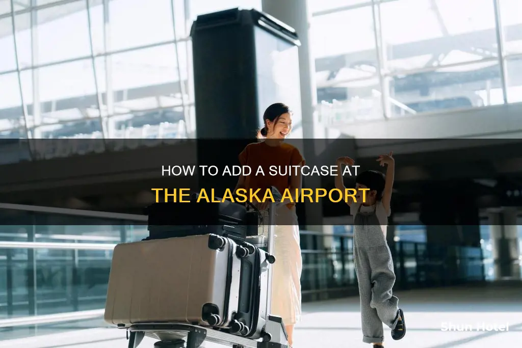 can you add a suitcase at the airport alaska