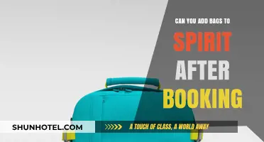 How to Add Bags to Your Spirit Booking