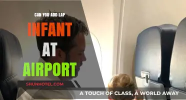 Last-Minute Infant Lap Seat Add-Ons at the Airport