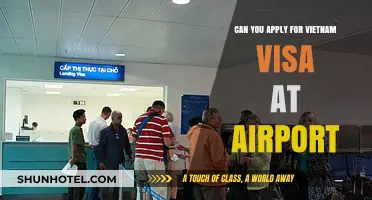 Vietnam Visa: Airport Application Options