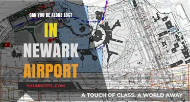 Lost in Newark Airport: A Solo Adventure
