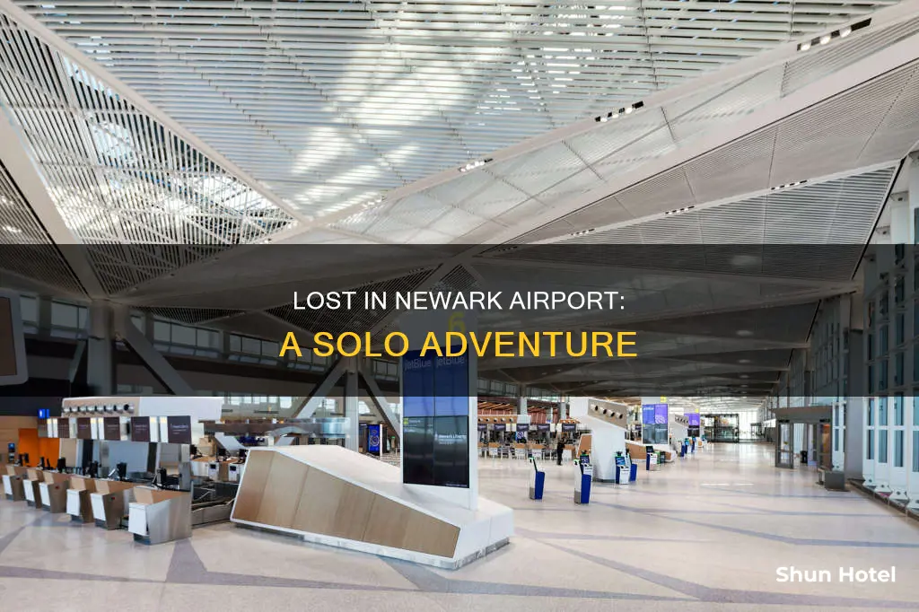 can you be alone lost in newark airport