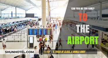 Airport Arrival: How Early is Too Early?