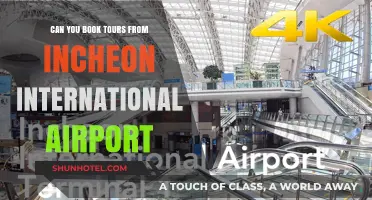 Incheon Airport: Book Tours on Arrival
