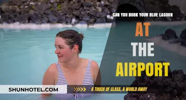 Blue Lagoon: Book at the Airport?