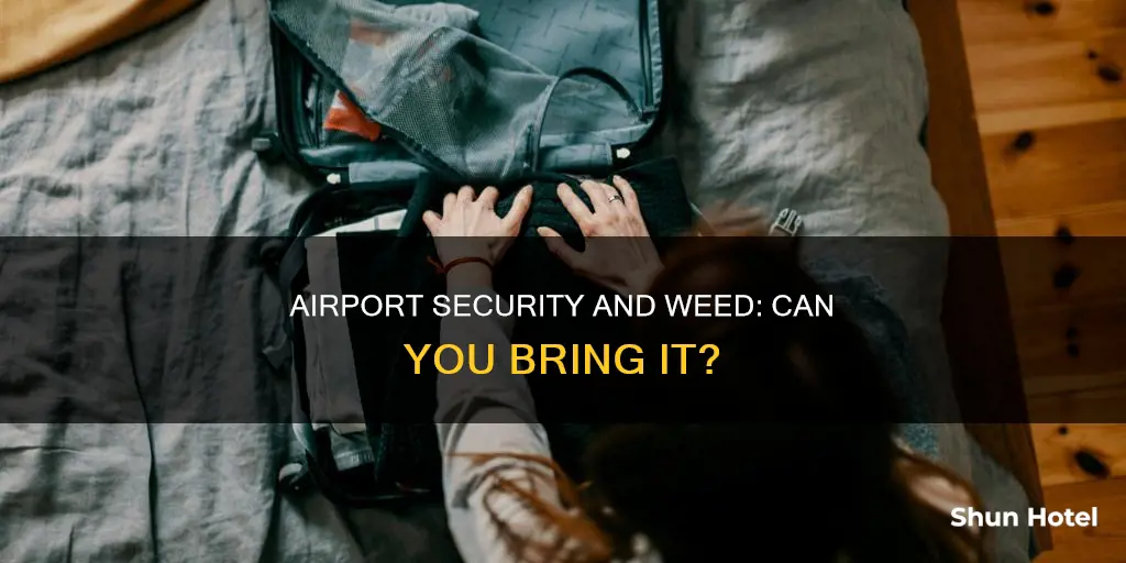 can you bring a blunt through airport security
