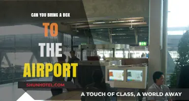 Smart Packing: Boxes and Airport Security