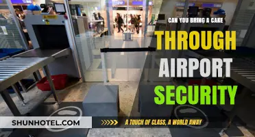 Traveling with Cake: Airport Security Rules Explained