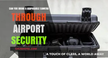 Airport Security and Disposable Cameras: What's Allowed?