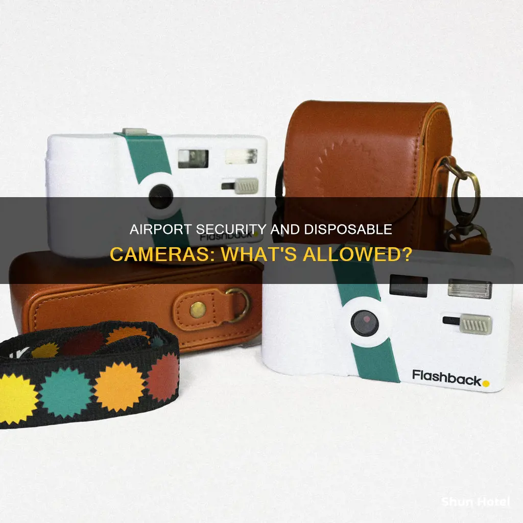 can you bring a disposable camera through airport security