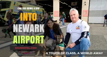 Traveling with Your Dog: Newark Airport Pet Policy
