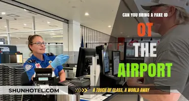 Using Fake IDs: Airport Security and You
