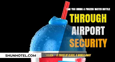 Airport Security: Frozen Water Bottles, Allowed or Not?