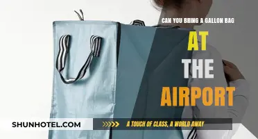 Traveling with Gallon Bags: What You Need to Know