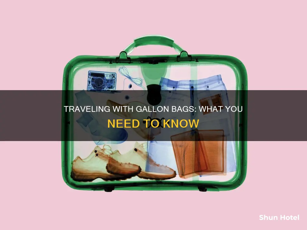 can you bring a gallon bag at the airport