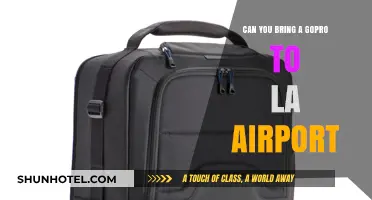 GoPro Travel: Can You Bring It Onboard?