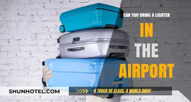 Airport Security: Lighters and What You Can Bring