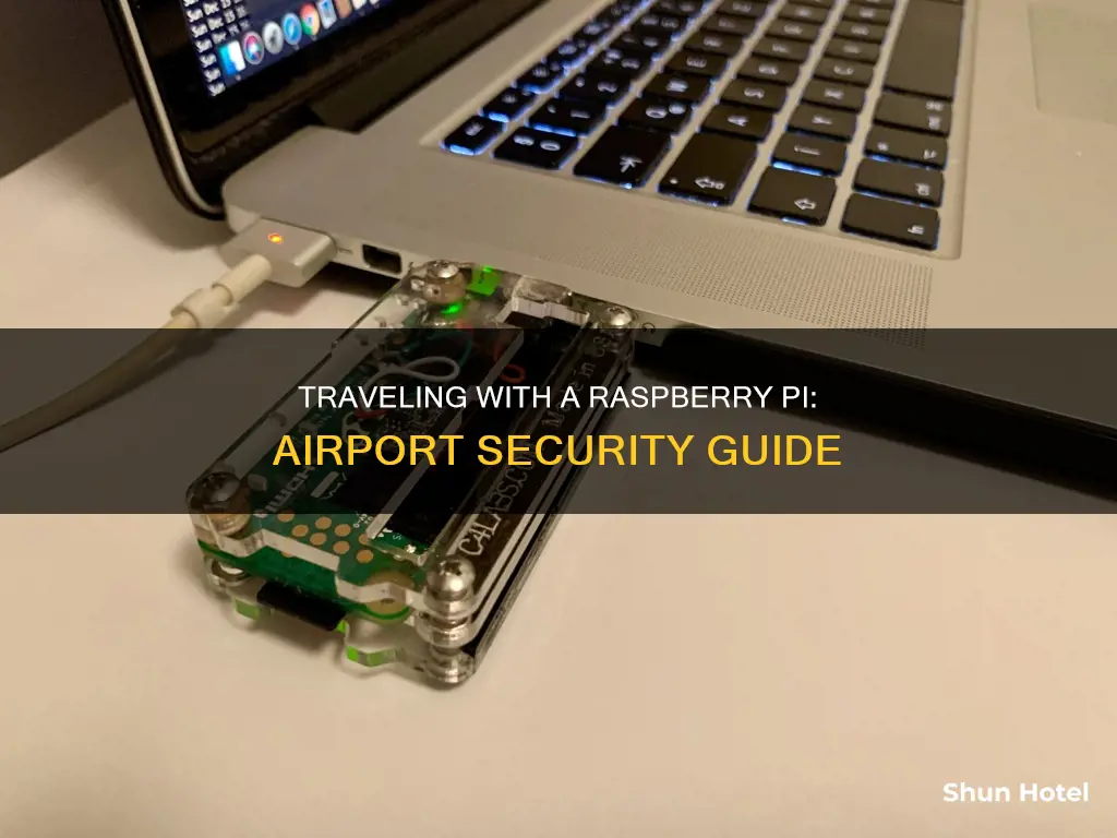 can you bring a raspberry pi through airport terminals