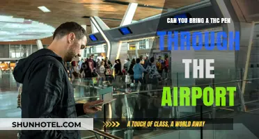 Traveling with THC: Airport Rules and Vaping Gear