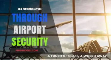 Airport Security: Vuse Rules and Regulations
