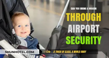 Traveling with Kids? Bring Your Wagon Through Airport Security