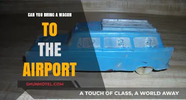 Airport Wagon Woes: What You Need to Know
