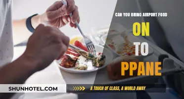 Traveler's Guide: Airplane Food Rules
