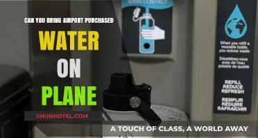 Purchased Water: Can You Bring It On the Plane?