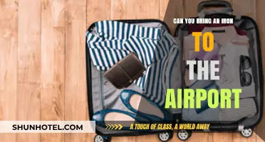 Ironing Out Airport Security: Can You Bring an Iron?