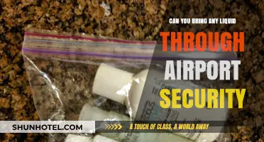 Airport Security: What Liquids Can You Bring?