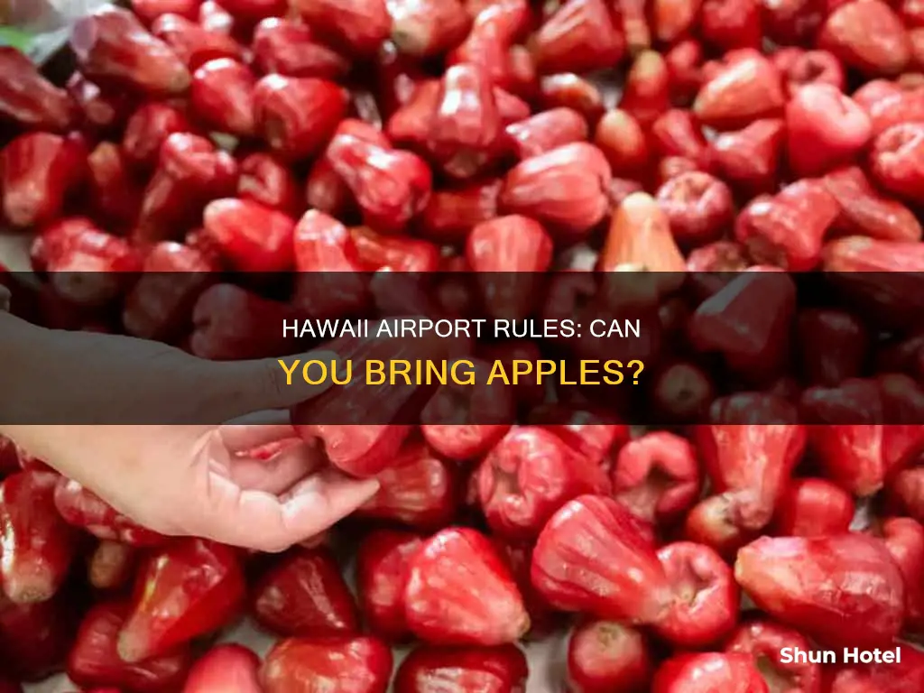 can you bring apple fruit into hawaii airport