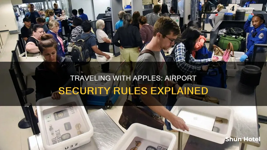can you bring apples through airport security