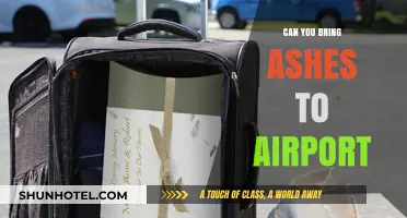 Airport Ashes: What You Need to Know