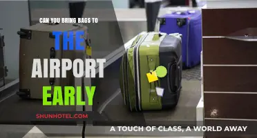 Early Birds: Airport Baggage Drop-Off Explained